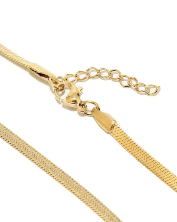 Ατσάλινο Κολιέ Snake Chain σε Χρυσή Απόχρωση