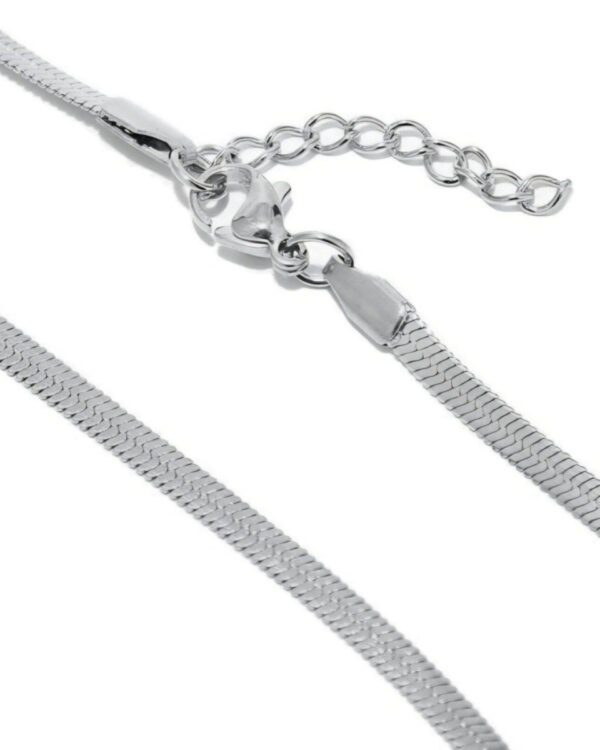 Ατσάλινο Κολιέ Snake Chain σε Ασημί Απόχρωση
