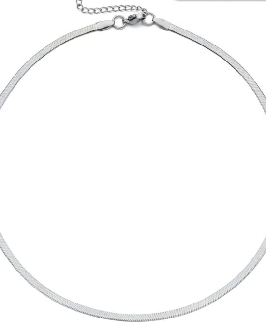 Ατσάλινο Κολιέ Snake Chain σε Ασημί Απόχρωση