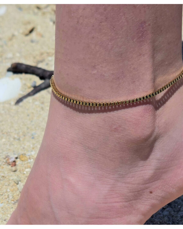 Βραχιόλι Ποδιού Ατσάλινο Box Αλυσίδα 2mm 21+3cm σε Χρυσό Τόνο